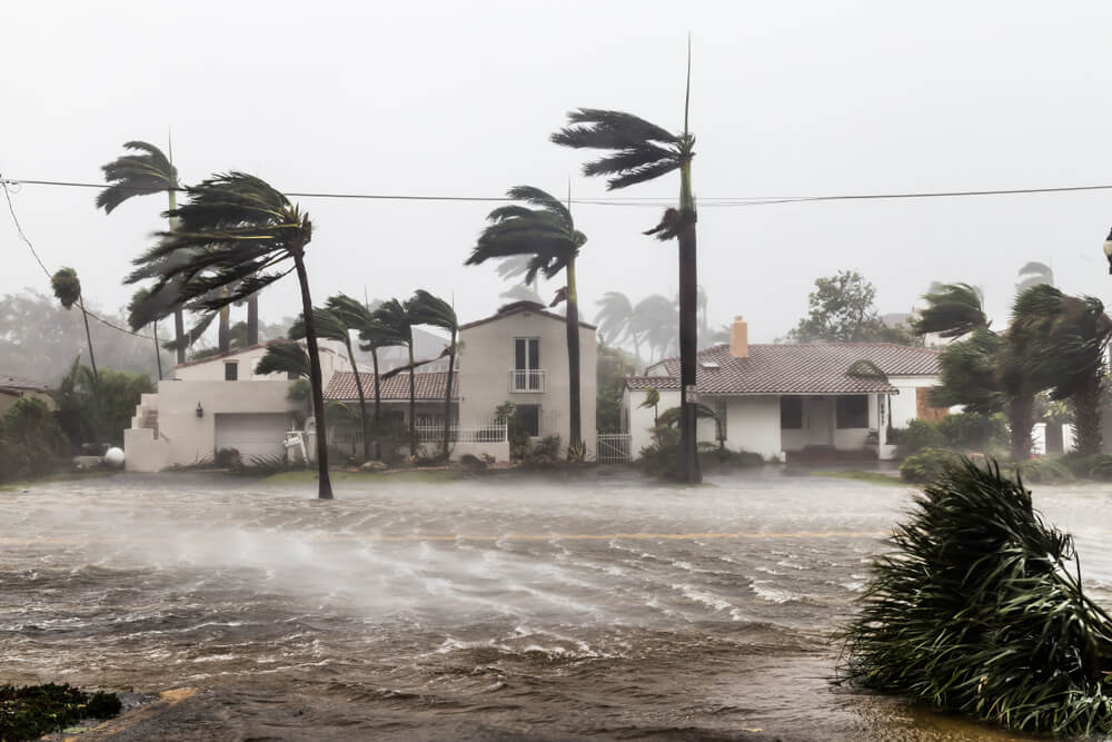 Photo of a Hurricane