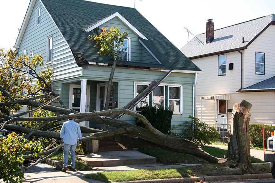 Fallen Tree Damaging House Porch A large uprooted tree fallen onto a house, severely damaging the roof and front porch, with a person assessing the impact.