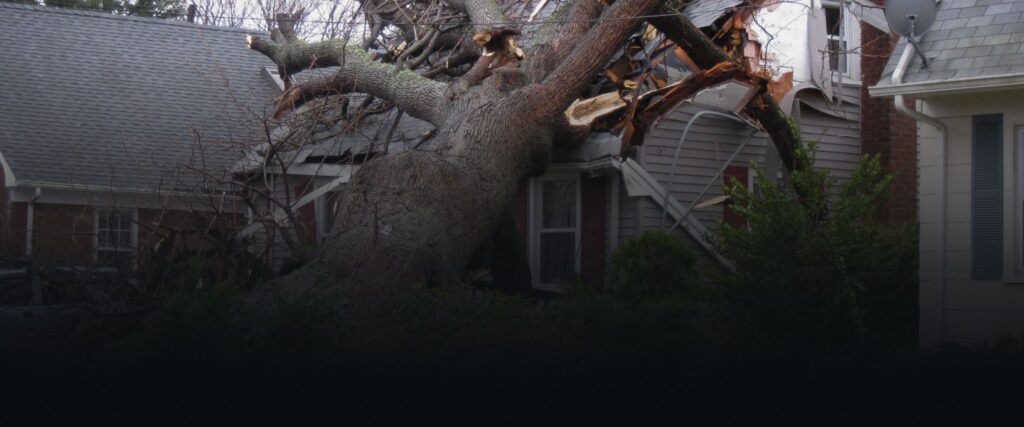 house hit by a tree A tree stands on a house that has been damaged by a hurricane